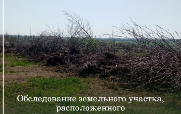 Обследование земельного участка, расположенного                                                              в с. Александровском сотрудниками филиала ЦЛАТИ по Ставропольскому краю.