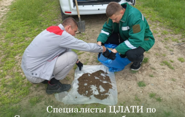 Специалисты ЦЛАТИ по Ставропольскому краю обследовали несанкционированную свалку на территории Кочубеевского района.