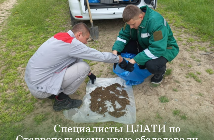 Специалисты ЦЛАТИ по Ставропольскому краю обследовали несанкционированную свалку на территории Кочубеевского района.
